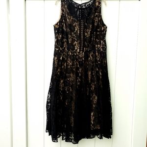 Lane Bryant cocktail lace dress PLUS SIZE 18W